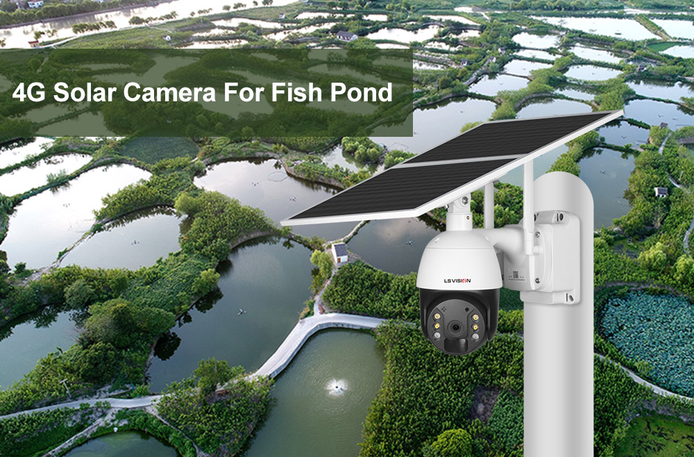 fish pond camera